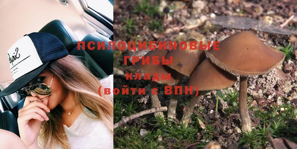 меф Переславль-Залесский