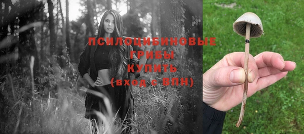 не бодяженный Остров