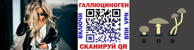 omg ссылка  Кущёвская  Галлюциногенные грибы Psilocybe 