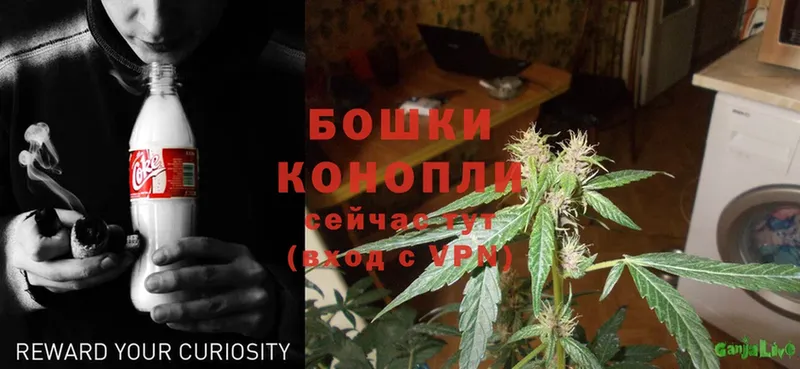 Канабис LSD WEED  кракен онион  Кущёвская 